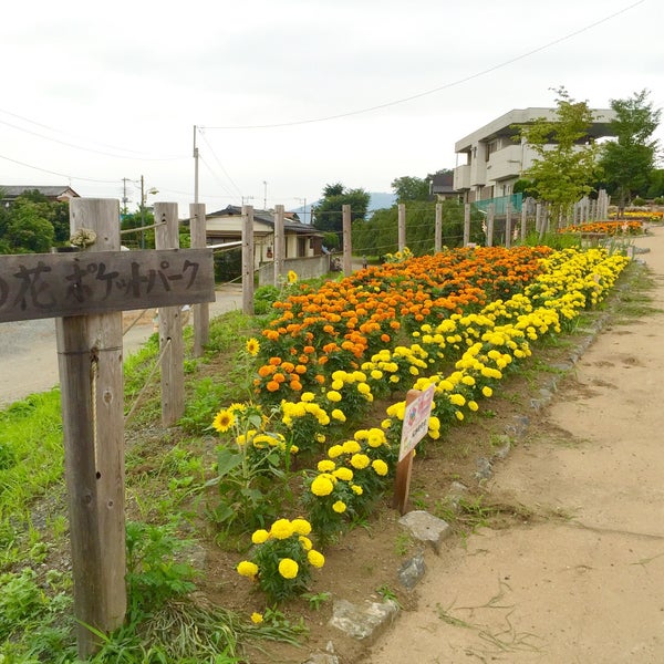 Photos At あの花ポケットパーク 36 Visitors Photos At あの花ポケットパーク 36 Visitors