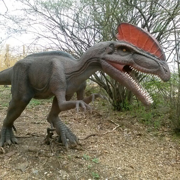 Снимок сделан в Field Station: Dinosaurs пользователем Sam H. 4/20/2013