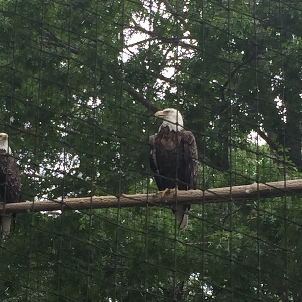 Photo taken at Cape May County Zoo Society by JJ on 7/8/2015