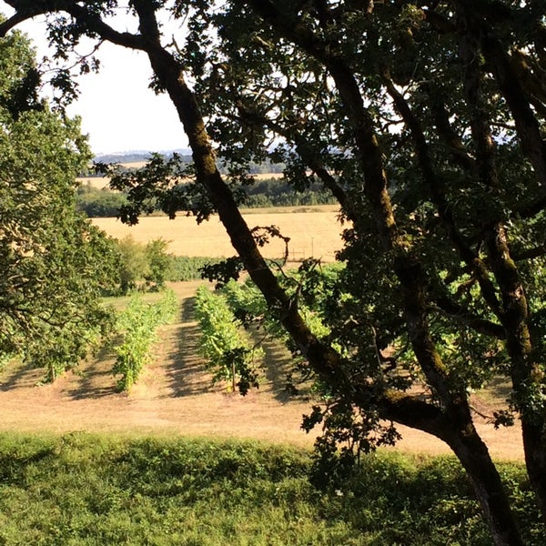 Foto tirada no(a) Yamhill Valley Vineyards por James L. em 8/2/2014