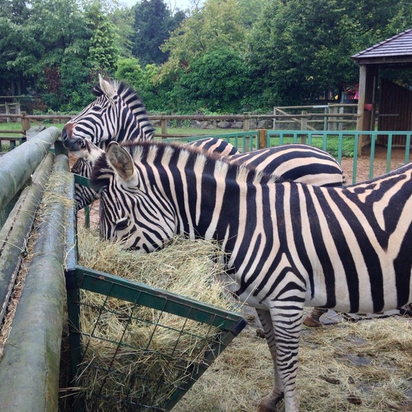 Снимок сделан в Hertfordshire Zoo пользователем Christian W. 9/13/2013