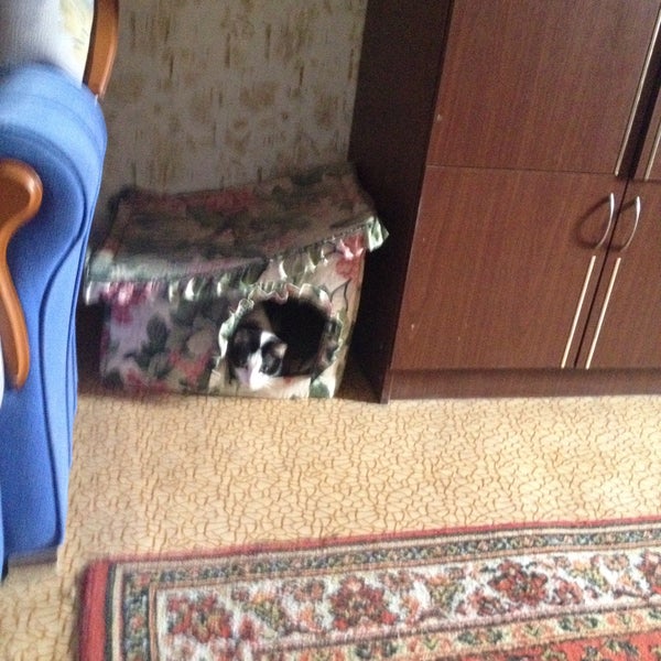 7. Прудная 9 королев. Прудная 10 королев дом. Болшево прудная ул, 7. Прудная 10 королев дом.