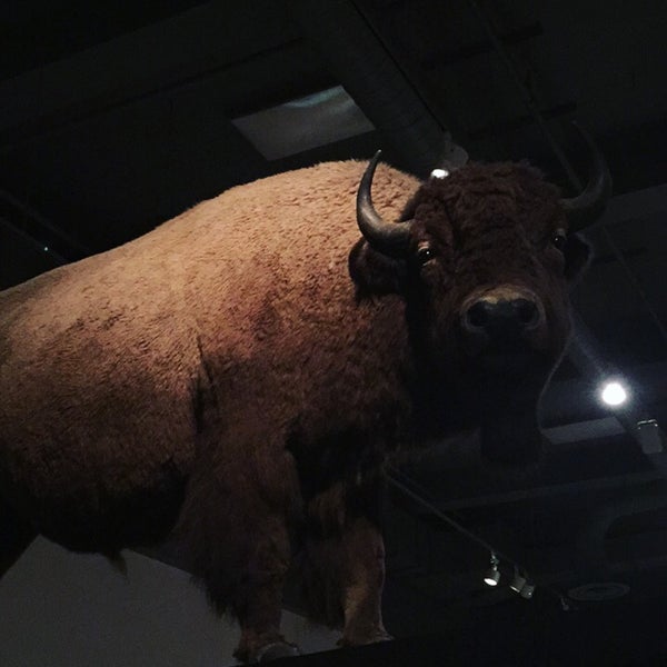 2/20/2017にAhmet 🧿がUniversity of Alaska Museum of the Northで撮った写真