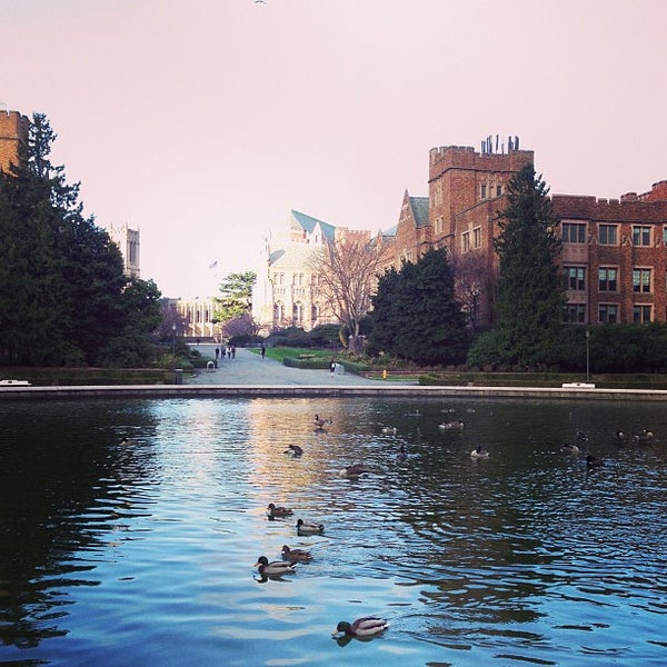 UW Drumheller Fountain University District 11 tips from 1400 visitors