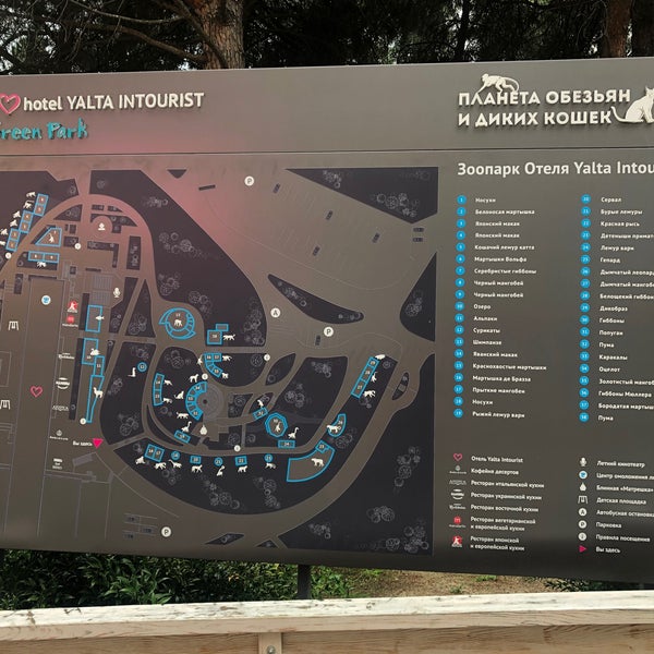 Ялта интурист схема отеля