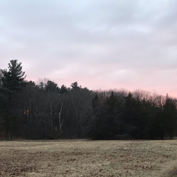Willard's Woods Dog Park in North Lexington