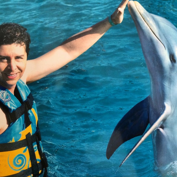 Dolphin Discovery Punta Cana