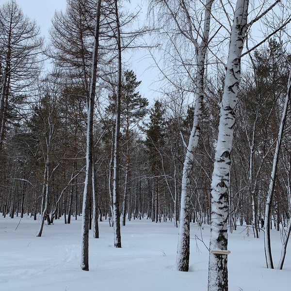 Парк гагарина октябрьский
