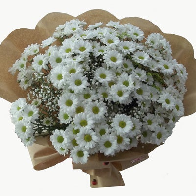 Sevdiklerinize kaliteli & bakımlı & taze çiçekler göndermek istiyorsanız, Gebze'de 'moda çiçekçilik'' iyi bir markadır.