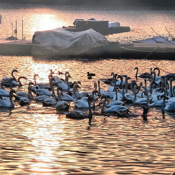 Photo taken at Zbiljsko jezero by Suzana G. on 5/11/2019