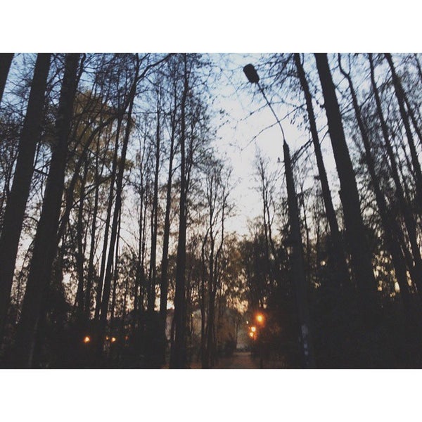Парк в дедовске