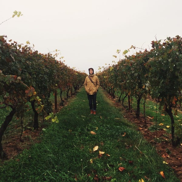 รูปภาพถ่ายที่ Penns Woods Winery โดย Rachel เมื่อ 11/1/2014