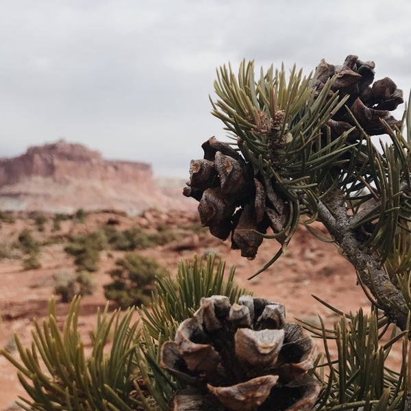 Photo taken at Capitol Reef National Park by Rachel on 11/23/2018