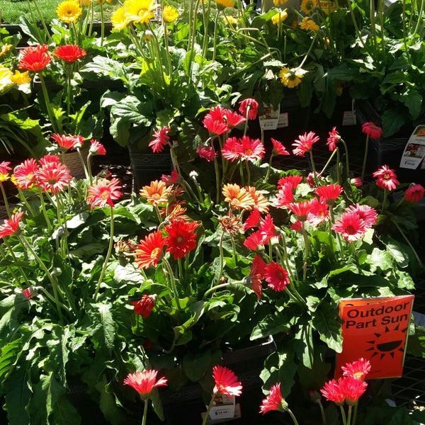 The Home Depot 8 tips