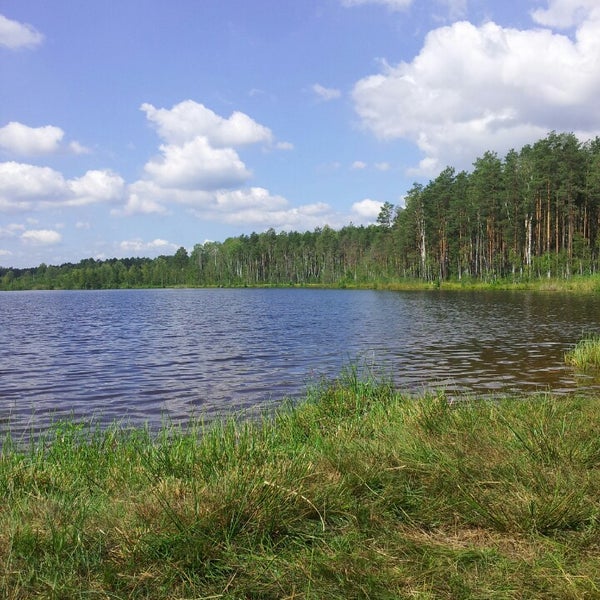 Озеро красное Ленинградская область Выборгский район