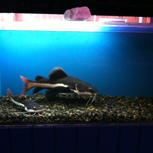 Tong's Tropical Fish Pet Supplies Store in Whittier