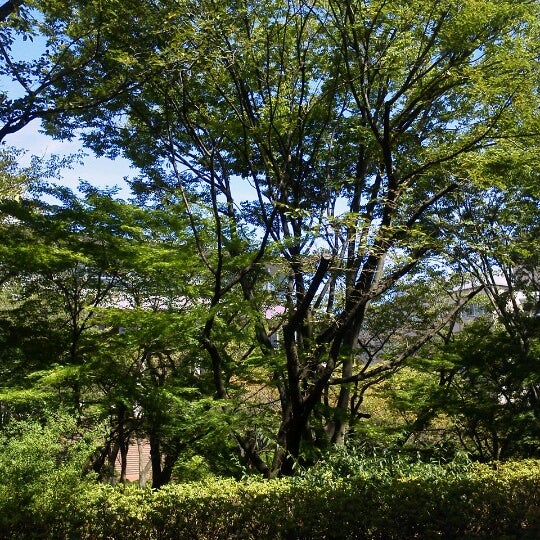 Fotos En 創価大学 ニュープリンスホール食堂 八王子 46 Visitantes Fotos En 創価大学 ニュープリンスホール食堂 八王子 46 Visitantes
