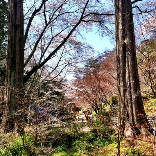 Photos At 杉村公園 橋本市 和歌山県 Photos At 杉村公園 橋本市 和歌山県