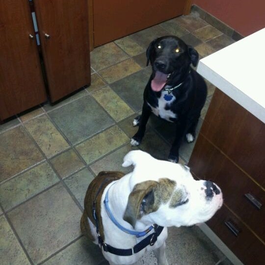 Marschall Road Animal Hospital