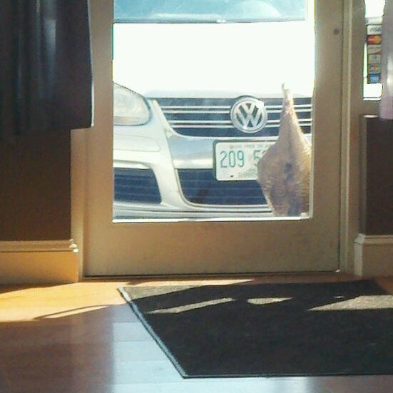 The Chatterbox Windham (Now Closed) 4 Cobbetts Pond Rd