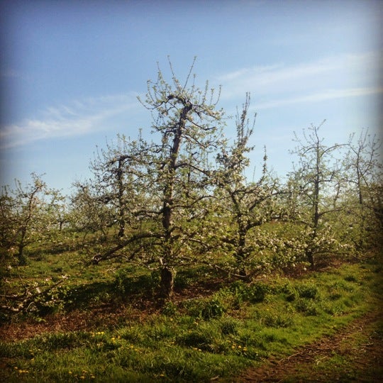 Photo taken at Soons Orchards by Michael on 4/16/2012