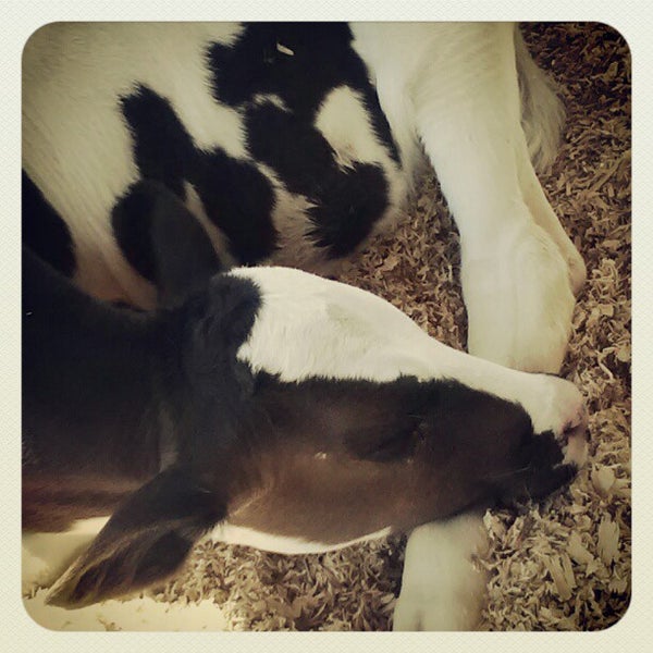 Photos at Reed's Dairy Inc. 2660 W Broadway St