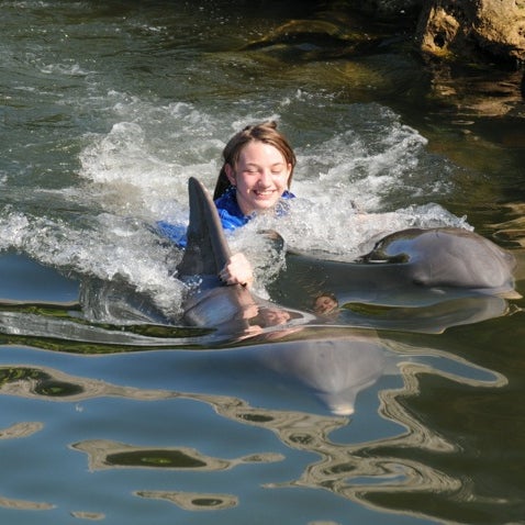 Photo taken at Dolphin Research Center by Elizabeth A. on 2/22/2012