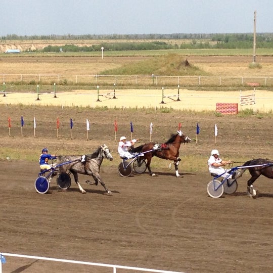 Ипподром в москве на беговой. Что такое ипподром 5 класс. Что такое ипподром 5 класс. Цми московский ипподром. Венсенский ипподром.