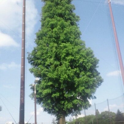 笹目公園野球場 Baseball Field In 戸田市