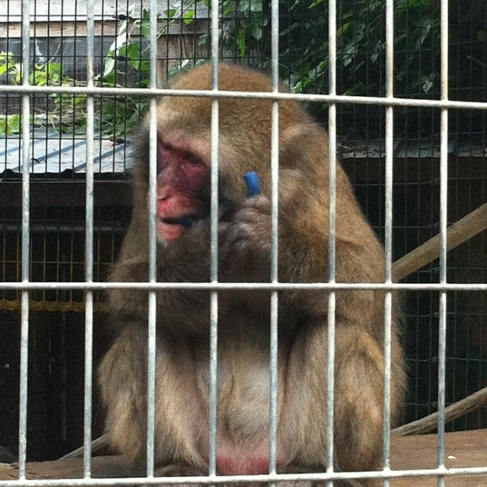 Photos At Tri State Zoological Park 10210 Cottage Inn Ln Ne