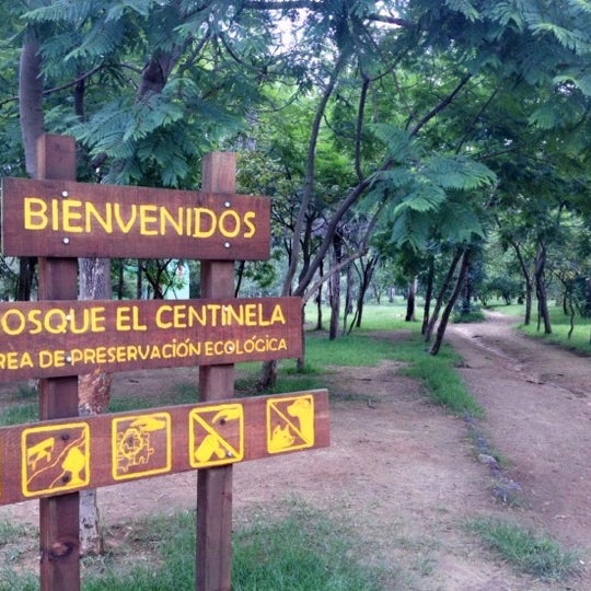 Image result for bosque del centinela