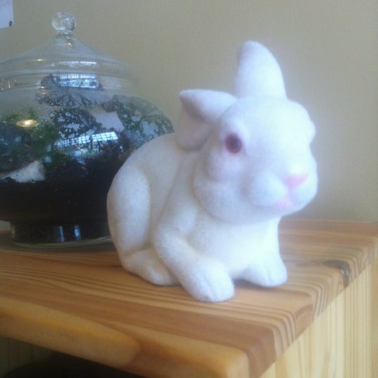 White Rabbit - 2 tips