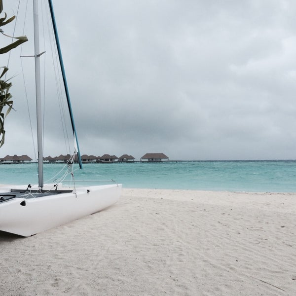 Maalifushi