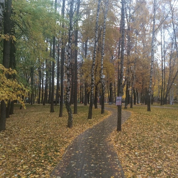 419 мытищи нииох. 419 мытищи нииох