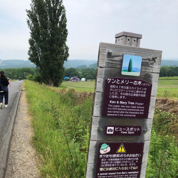 Photos At ケンとメリーの木 美瑛町 北海道