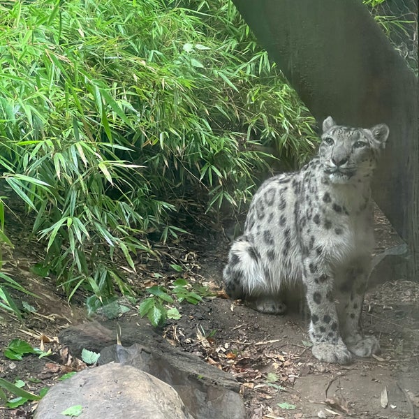 Photo taken at Central Park Zoo by N on 6/23/2023