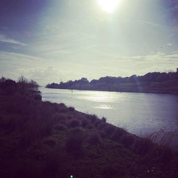 Anchor Cafe Hotel Bar in Myrtle Beach