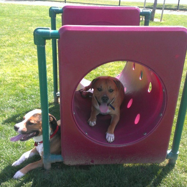 Dairyland Park (Dog Park) 2 tips from 97 visitors