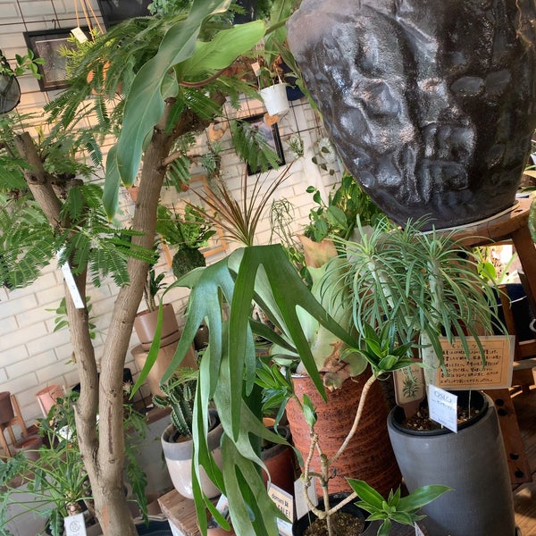 Photos At Growing Plants Oslo 福島区 北区大淀南3 2 4