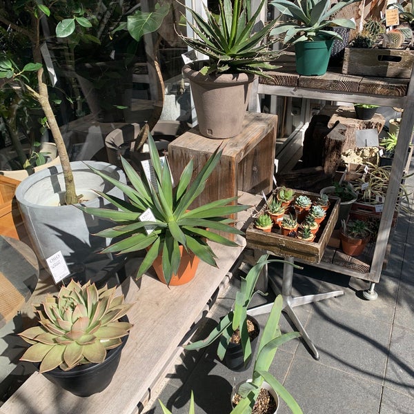 Photos At Growing Plants Oslo 福島区 北区大淀南3 2 4