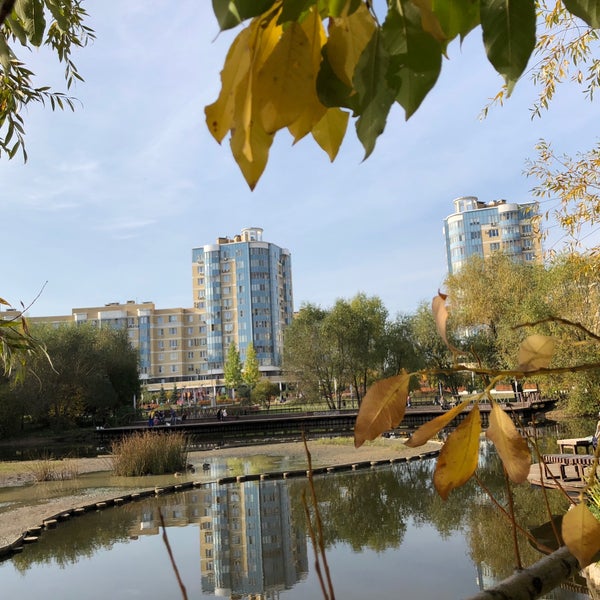 Парк дубрава куркино