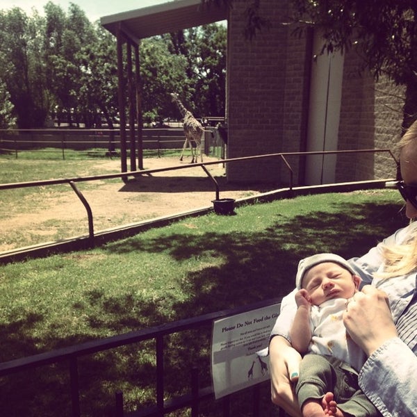 Photo taken at Roosevelt Park Zoo by Vanessa N. on 6/21/2014