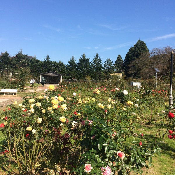 Photos At 日本国花苑 井川町浜井川字二階102 1