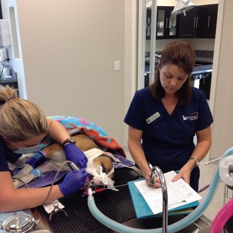 3 Things Everyone Knows About corbett park That You Don't