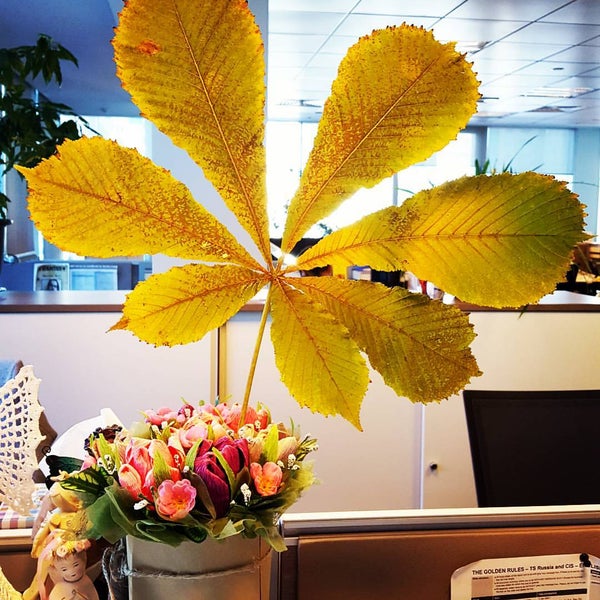 KPMG Kazakhstan - Достык 180