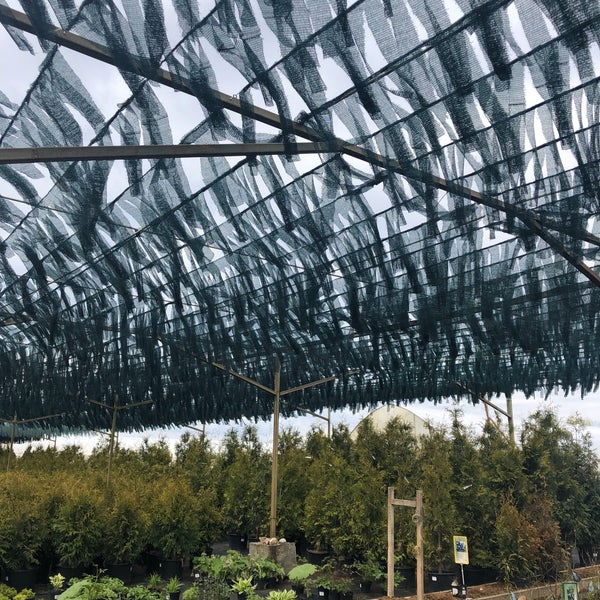 Садовый центр каверино. Садовый центр каверино. Питомник южный в серпуховском. Садовый центр каверино. Каверино питомник растений.