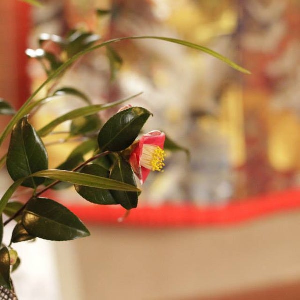 รูปภาพถ่ายที่ Camellia Tea Ceremony โดย Camellia Tea Ceremony เมื่อ 7/16/2014