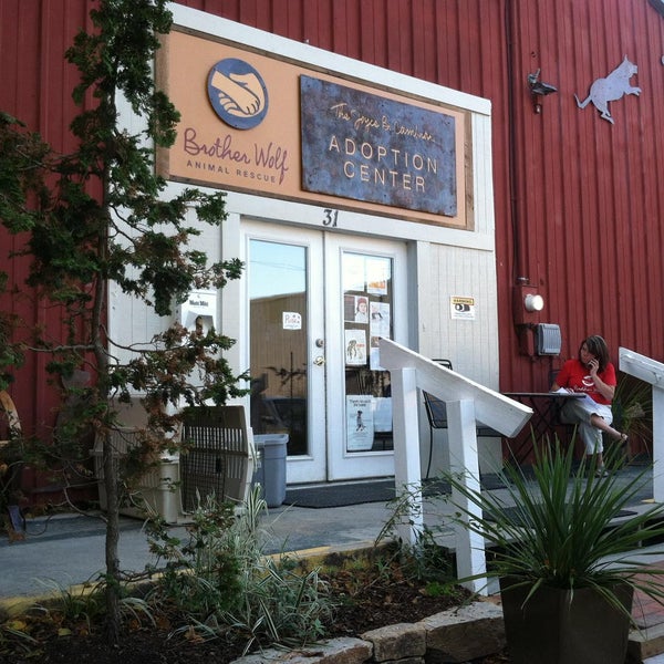 Brother Wolf Animal Rescue - Oakley - 4 tips