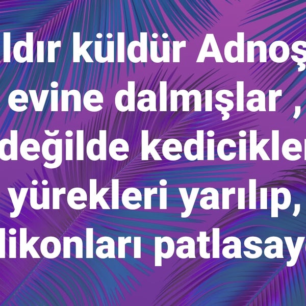 Photos At Kafamda Deli Sorular General Entertainment