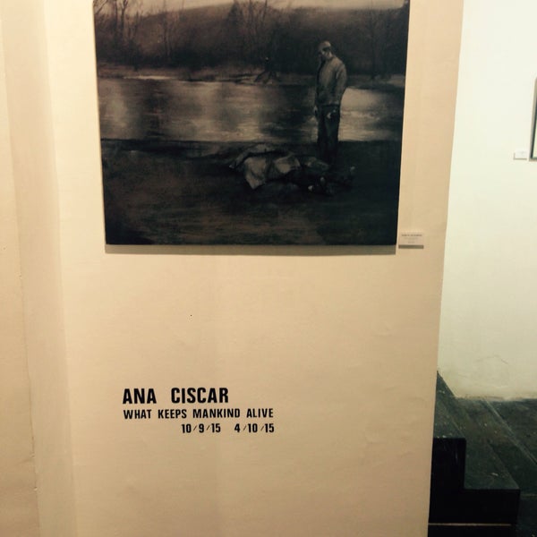 9/10/2015에 Denis R.님이 Artevistas Art Gallery에서 찍은 사진